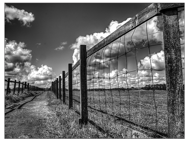 landschap fotografie